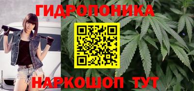 гашиш Камышлов