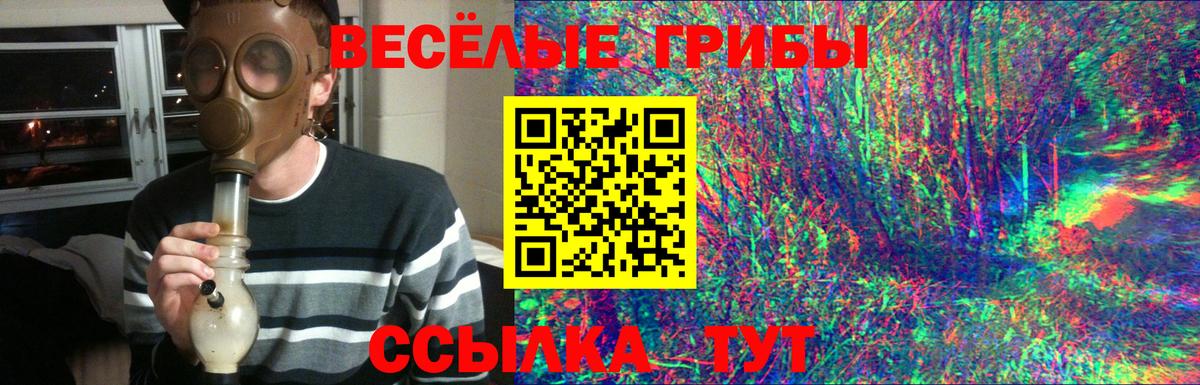 где купить наркотик  Галлюциногенные грибы ЛСД  Вход с VPN  Калач-на-Дону  Галлюциногенные грибы Cubensis 